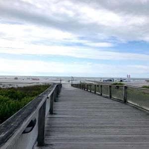 Meet your Posher, Lynne